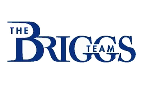 Briggs Team